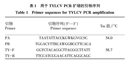 番茄黄化曲叶病毒和番茄褪绿病毒复合侵染的分子鉴定