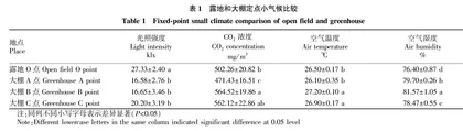 南方设施栽培蓝莓的生物学性状研究