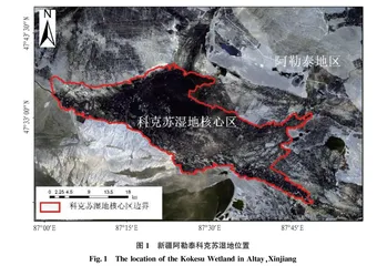 基于中分辨率影像湿地离散水体提取研究