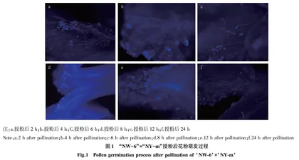花粉萌发和激素处理对“南水8号”制种产量的影响