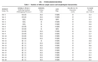 水稻叶褐条斑病病原菌的分离鉴定与接种技术研究
