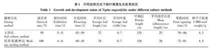 富锦湿地狭叶香蒲种子繁殖及养护管理研究
