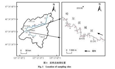 阿什河哈尔滨段水质评价