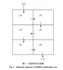 农村生活污水贝类净化区细菌群落结构解析