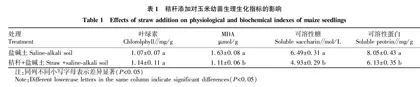 秸秆对盐碱土中玉米幼苗生理生化指标的影响