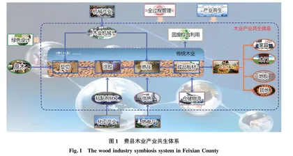 费县木业集群对城镇化的影响及优化路径研究