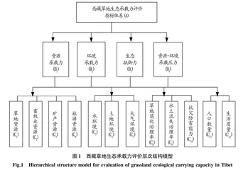 西藏草地生态承载力评价
