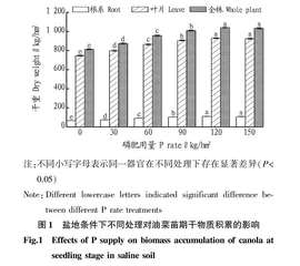 磷肥用量对盐地条件下油菜干物质积累和分配的影响