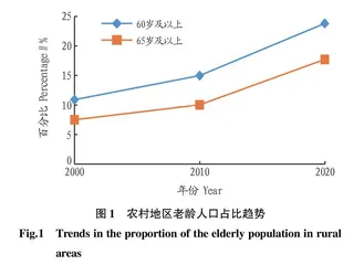 农村人口老龄化对农村消费行为的影响研究