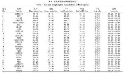 玉簪属种质资源收集筛选及耐阴性研究