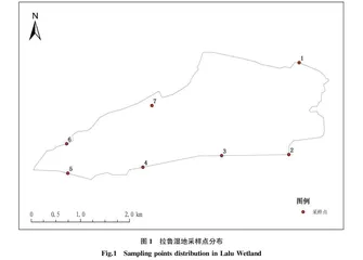 西藏拉鲁湿地水质综合状况时空变化特征及污染源分析