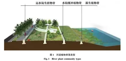 滨水绿地植物群落景观设计