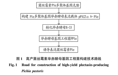 菌丝霉素抗菌肽高密度发酵生产及其特性研究