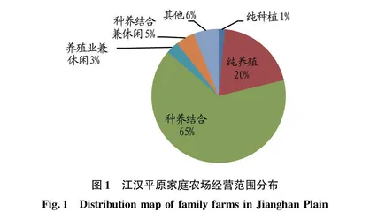 江汉平原农业经营模式创新及实施路径研究