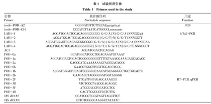 富贵竹过氧化物酶全长基因的克隆与表达分析