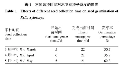 木荚豆种子萌发试验