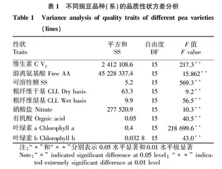不同豌豆品种（系）的叶菜品质比较