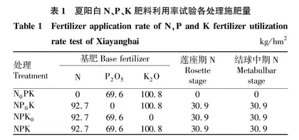 热浪对植物光合作用和水分传输与利用的影响研究进展