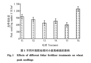 3种叶面肥在小麦上的应用效果