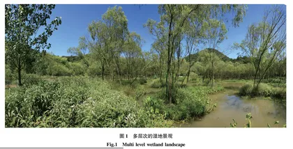 城市生态湿地公园的保护与利用