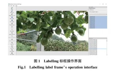 自然环境下基于增强YOLOv3的百香果目标检测