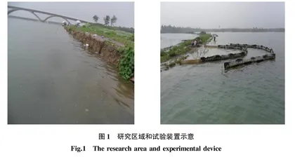 软围隔系统在迎风岸坡植被恢复中的应用研究