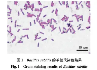 Bacillus属嗜盐嗜碱细菌的研究进展