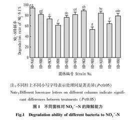1株异养硝化-好氧反硝化神户肠杆菌的鉴定及脱氮特性