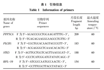 PPP3CA•PLCB1和STK3 基因在小尾寒羊性腺轴组织中的表达量研究