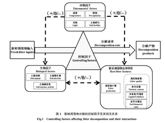 天然草原植物根系凋落物分解研究进展