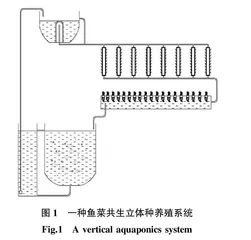 生菜在鱼菜共生立体种养殖系统中的水质净化效果