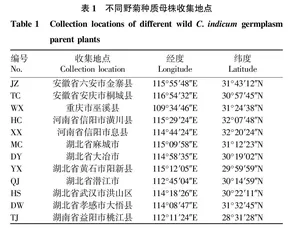 野菊种质资源表型多样性分析