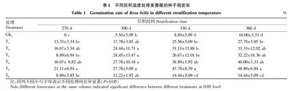 美蔷薇种子萌发研究
