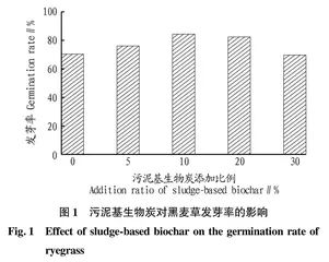 污泥基生物炭对黑麦草生长特性及重金属累积的影响