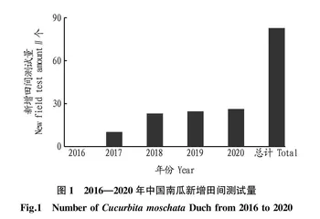 中国南瓜新品种保护测试现状及栽培技术研究