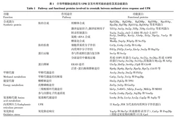 毕赤酵母对甲醇胁迫的响应及其对蛋白表达的影响