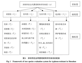 深圳市抗台风景观树种评价体系的构建