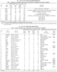 园林树木高效抗风关键技术在城市公园的应用