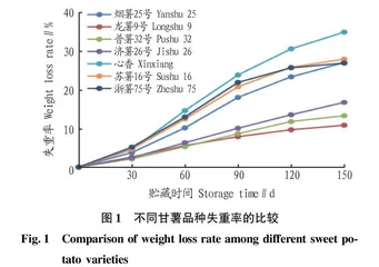 不同甘薯品种贮藏效果的比较