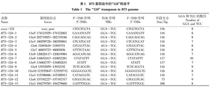 云南原始地方种四路糯基因组中的MITE类转座子“124”