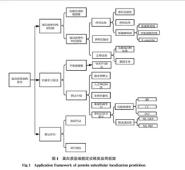 基于机器学习的蛋白质亚细胞定位预测方法