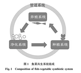 鱼菜共生系统气雾栽培模式的构建