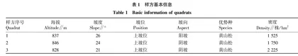 吴家山黄山松人工林植物群落结构特征分析