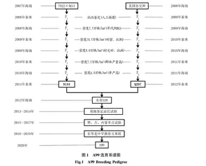 国审玉米新品种A99选育报告
