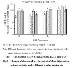 遮阴处理对3个朱顶红品种叶绿素含量及荧光参数的影响