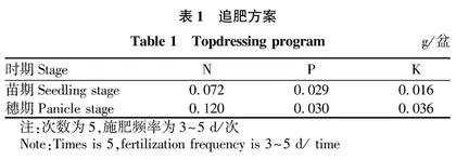  不同氮源配比对沙地水肥一体化玉米生长的影响