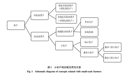 小农户与现代农业有机衔接：日本的实践经验与启示
