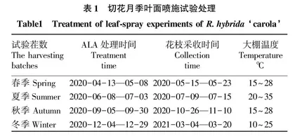 叶面喷施ALA对切花月季“卡罗拉”周年生产及冬季耐低温胁迫的影响