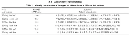  上部六片烟叶分类采烤对烟叶品质的影响