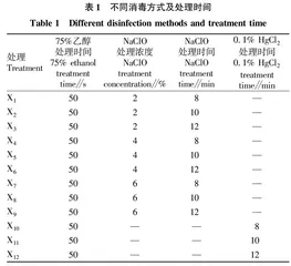 半夏外植体消毒方法比较研究